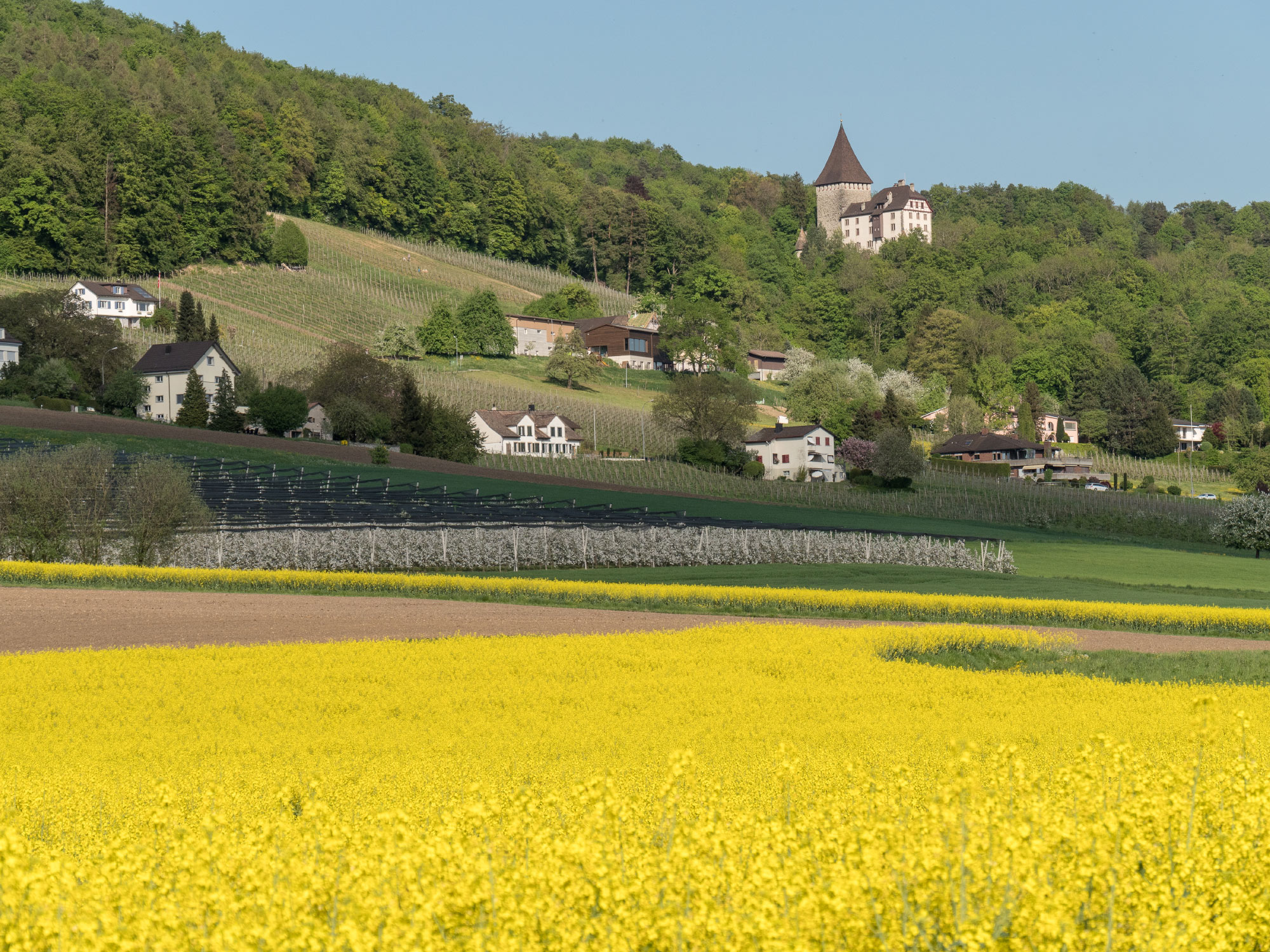 Weinfelden